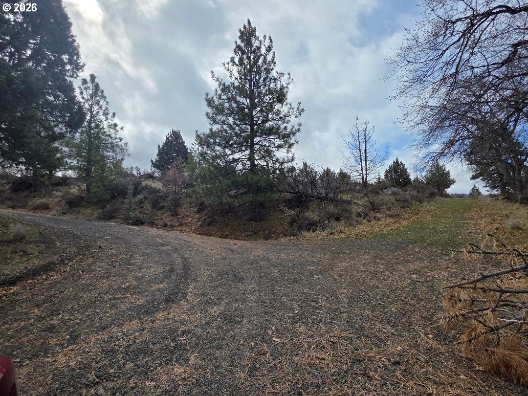 78902 Walters Road Maupin, OR 97037 - Photo 47 of 47 a view of a field with large trees