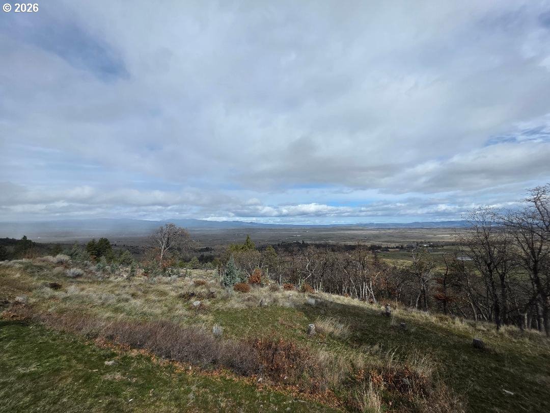 78902 Walters Road Maupin, OR 97037 - Photo 7 of 47 a view of a yard with wooden floor