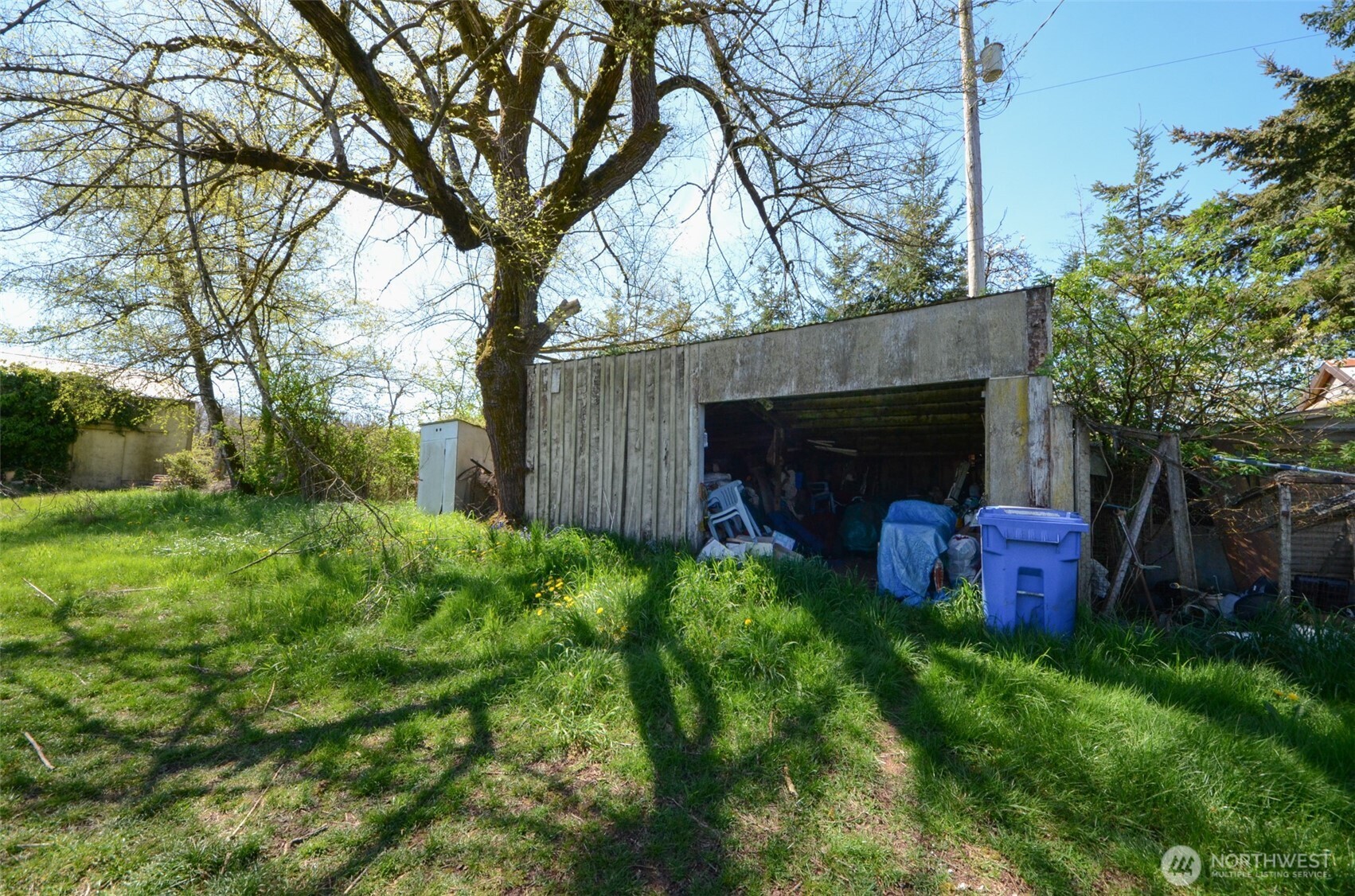 8941 183rd Avenue Southwest Rochester, WA 98579 - Photo 13 of 19 a view of a garden with large trees