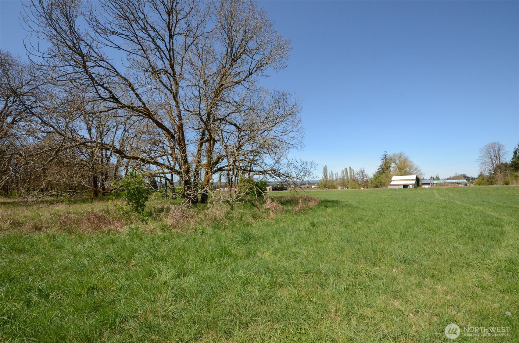 8941 183rd Avenue Southwest Rochester, WA 98579 - Photo 17 of 19 a backyard of a house with lots of green space