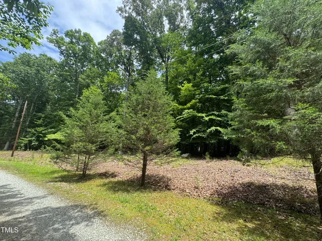 a view of a yard with a tree