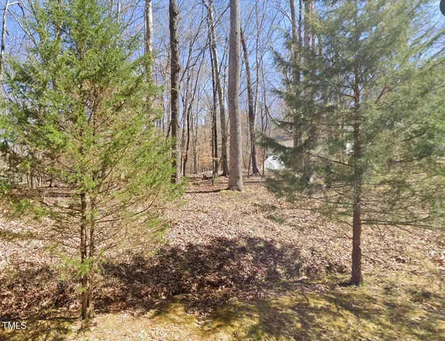 a view of a backyard of the house