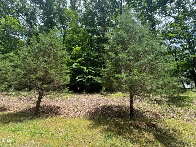 a view of a yard with large trees