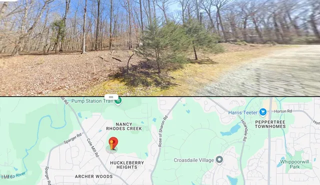a view of a yard with plants and large trees