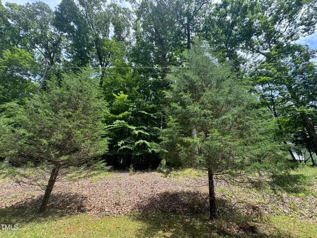 a view of a yard with plants