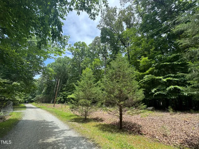 a view of a yard with a tree