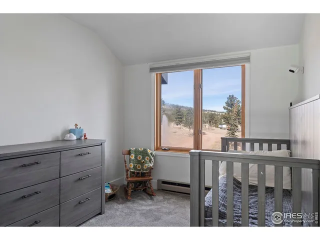 $750,000 | 100 South Cucharas Mountain Court, Livermore, CO 80536