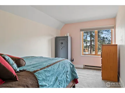 $750,000 | 100 South Cucharas Mountain Court, Livermore, CO 80536