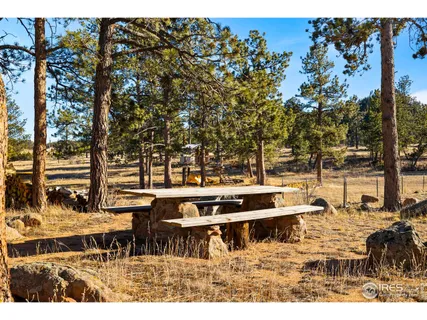 $735,000 | 100 South Cucharas Mountain Court, Livermore, CO 80536