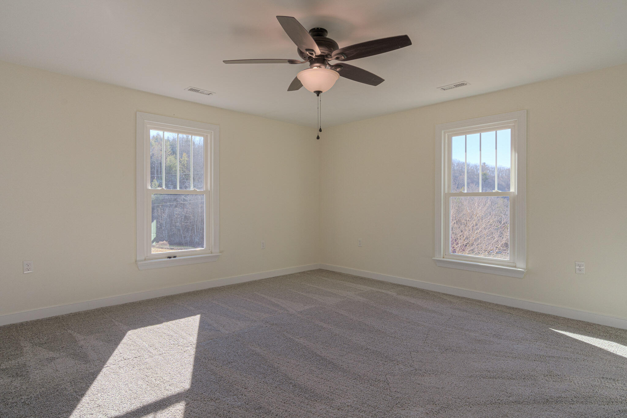 4231 Robinson Tract Road Pulaski, VA 24301 - Photo 39 of 59 4231_RobinsonTractRd_Web-37