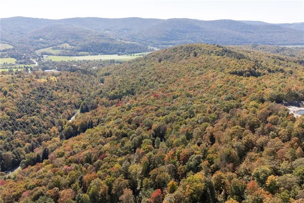 $449,000 | 815 Covert Hollow Road, Hamden, NY 13782