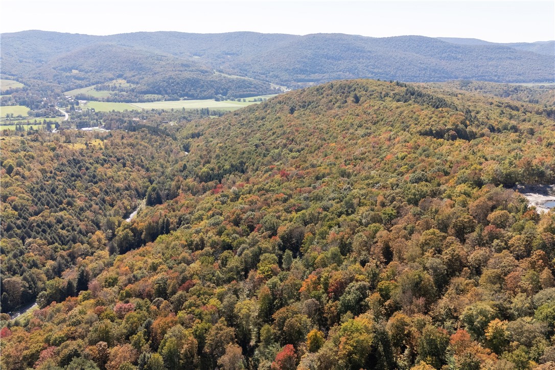 815 Covert Hollow Road Hamden, NY 13782 - Photo 33 of 50