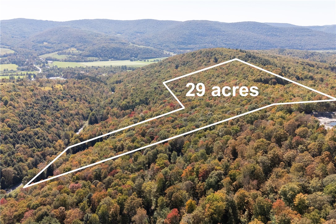 815 Covert Hollow Road Hamden, NY 13782 - Photo 34 of 50