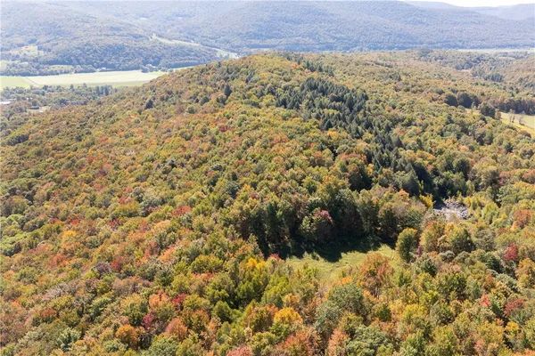 $449,000 | 815 Covert Hollow Road, Hamden, NY 13782