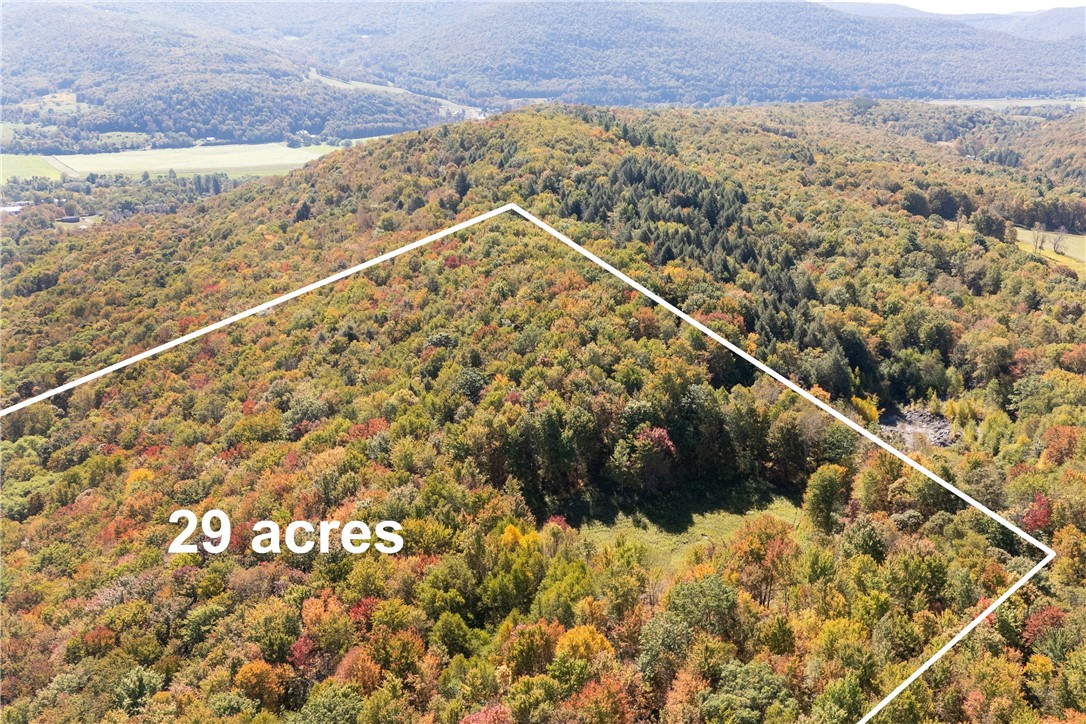 815 Covert Hollow Road Hamden, NY 13782 - Photo 36 of 50