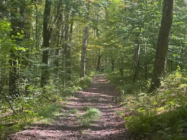 $449,000 | 815 Covert Hollow Road, Hamden, NY 13782