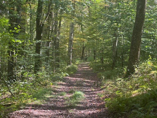 815 Covert Hollow Road Hamden, NY 13782 - Photo 38 of 50