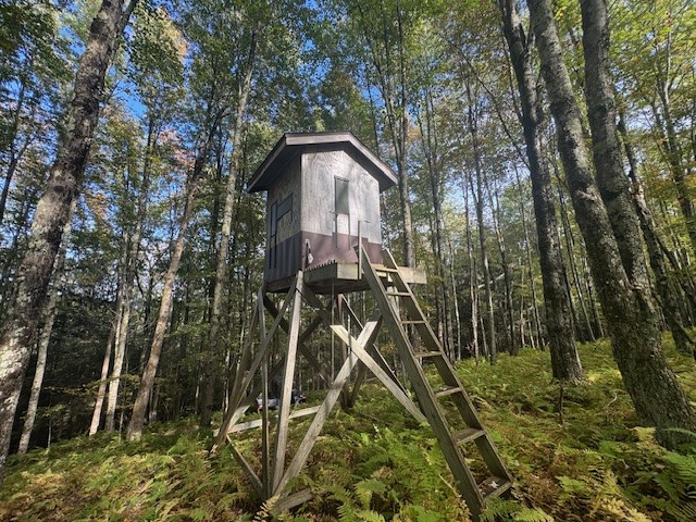 815 Covert Hollow Road Hamden, NY 13782 - Photo 40 of 50