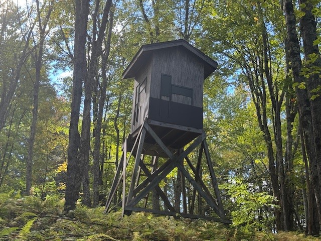 815 Covert Hollow Road Hamden, NY 13782 - Photo 41 of 50