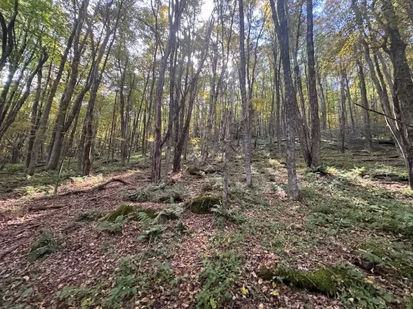 $449,000 | 815 Covert Hollow Road, Hamden, NY 13782