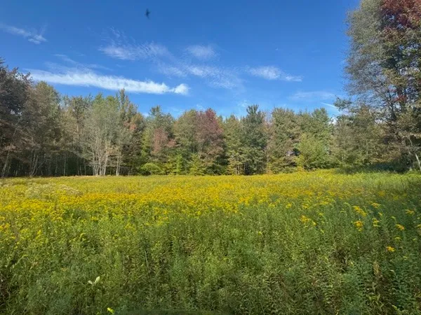 $449,000 | 815 Covert Hollow Road, Hamden, NY 13782