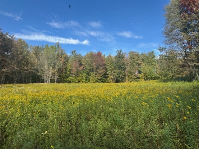 815 Covert Hollow Road Hamden, NY 13782 - Photo 44 of 50