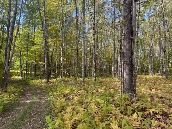 $449,000 | 815 Covert Hollow Road, Hamden, NY 13782