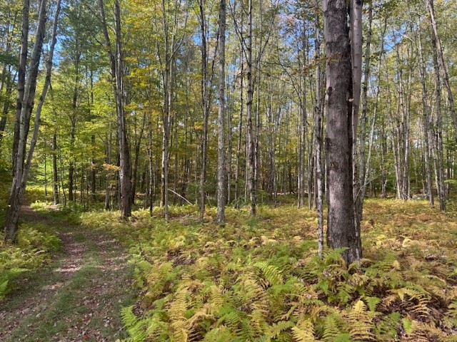 815 Covert Hollow Road Hamden, NY 13782 - Photo 45 of 50