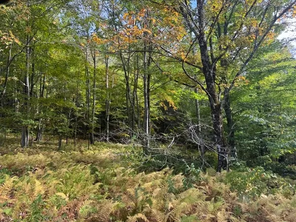 $449,000 | 815 Covert Hollow Road, Hamden, NY 13782