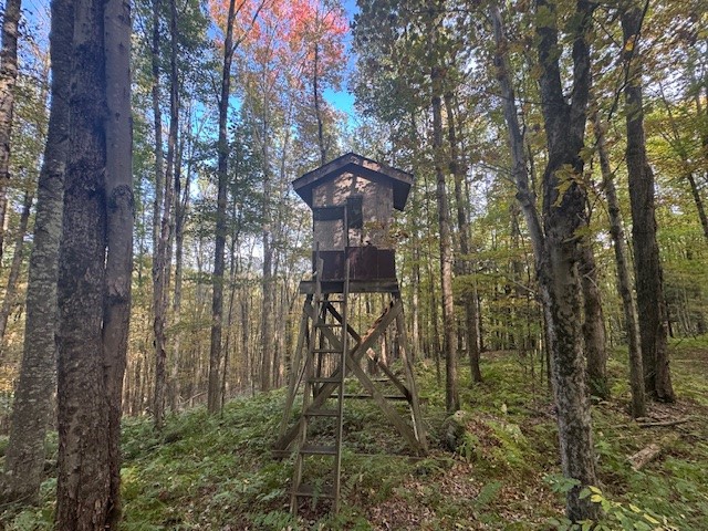 815 Covert Hollow Road Hamden, NY 13782 - Photo 48 of 50