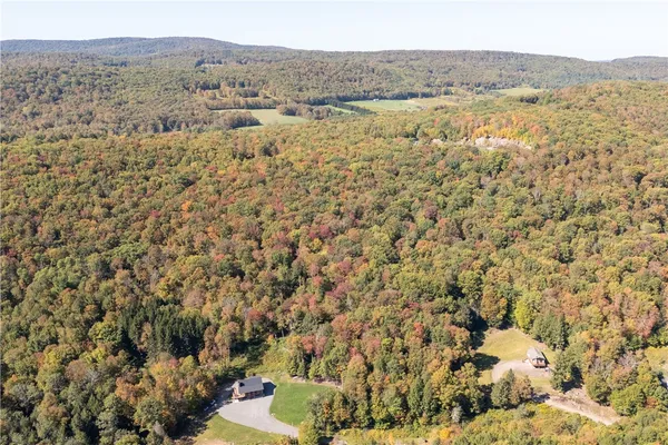 $449,000 | 815 Covert Hollow Road, Hamden, NY 13782