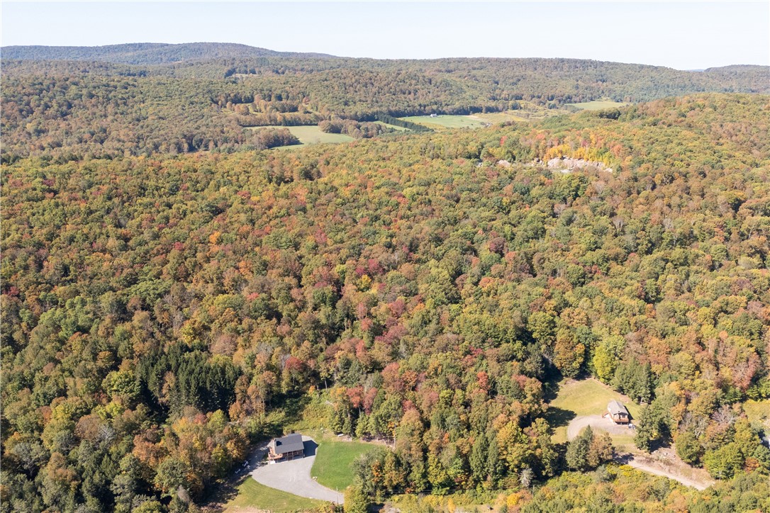 815 Covert Hollow Road Hamden, NY 13782 - Photo 5 of 50