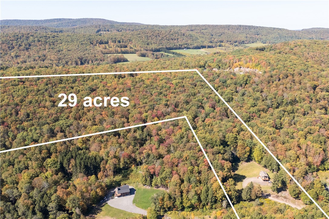 815 Covert Hollow Road Hamden, NY 13782 - Photo 6 of 50