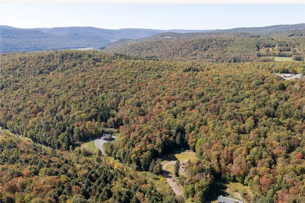 $449,000 | 815 Covert Hollow Road, Hamden, NY 13782