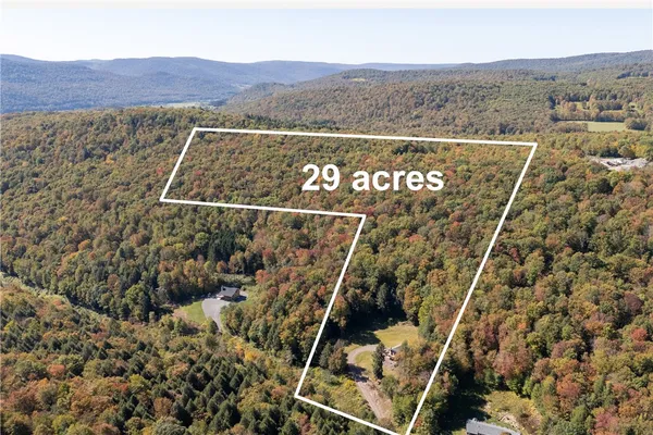 $449,000 | 815 Covert Hollow Road, Hamden, NY 13782