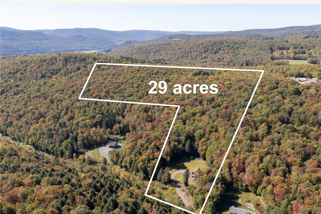 815 Covert Hollow Road Hamden, NY 13782 - Photo 8 of 50