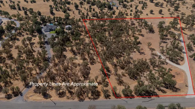 a view of a dry yard