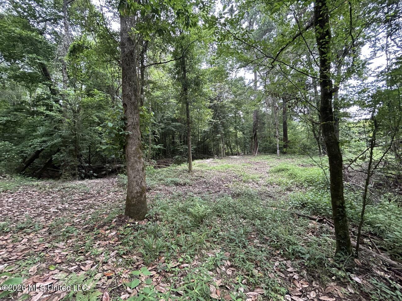 6643 Grange Hall Road Osyka, MS 39657 - Photo 23 of 39 IMG_4452 Large