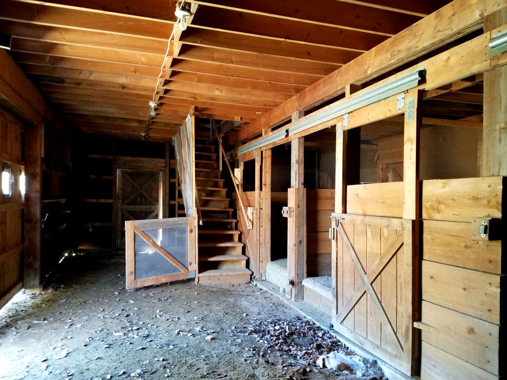 18 Dundee Road Jackson, NH 03846 - Photo 29 of 36