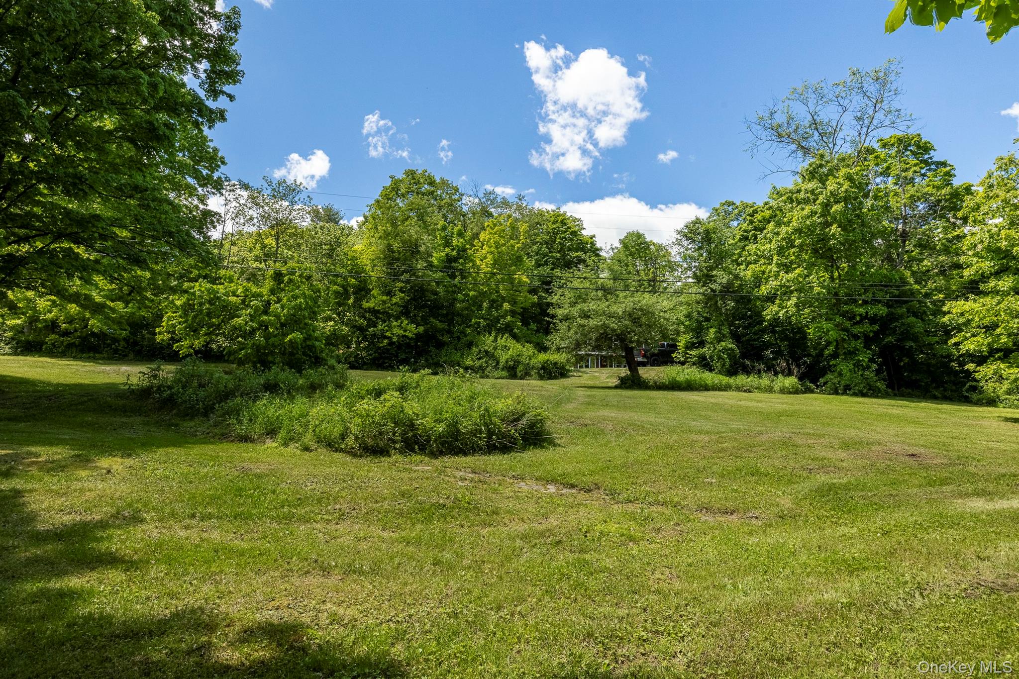 82 Near Road Red Hook, NY 12571 - Photo 24 of 28 View of grassy yard