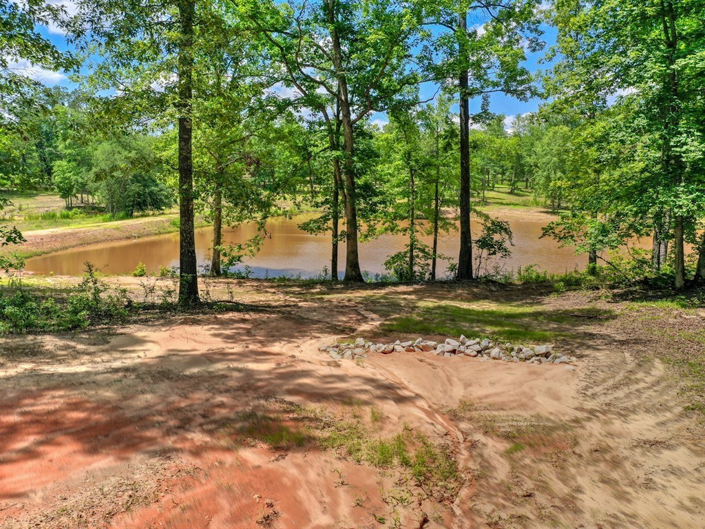 3 Old Dibble Road Aiken, SC 29803 - Photo 6 of 9