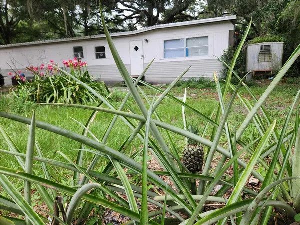 $2,400 | 24815 Audrey Road, Land O' Lakes, FL 34639