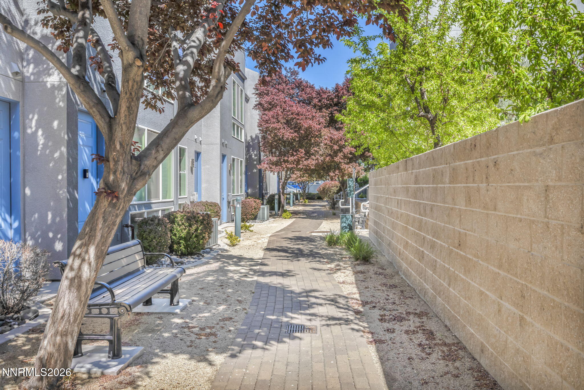 326 State Street Reno, NV 89501 - Photo 16 of 49 a view of a yard with plants and a large tree