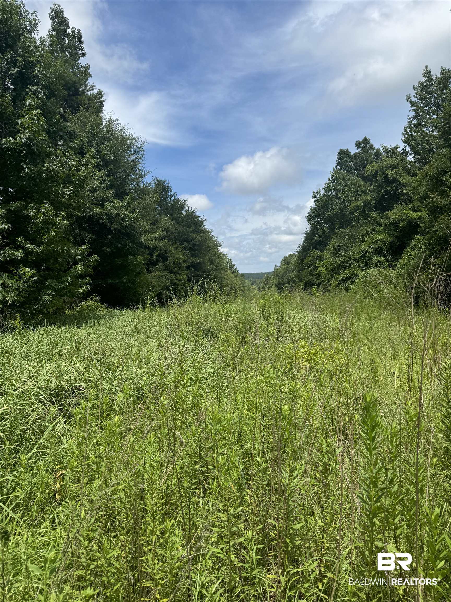 0 Deer Creek Road Monroeville, AL 36460 - Photo 19 of 19