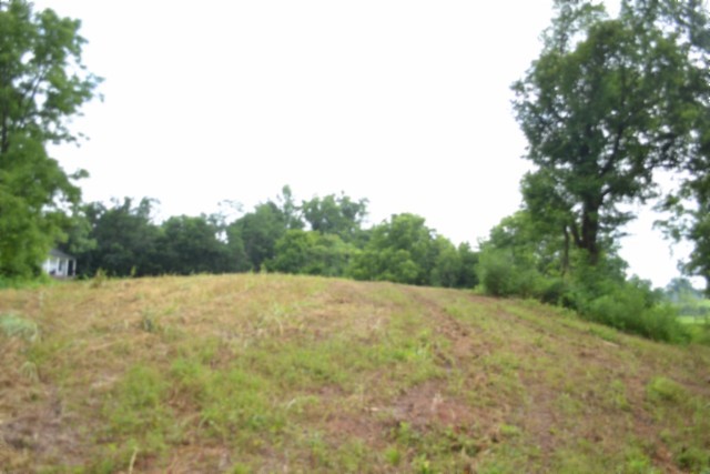 0 Pea Ridge Fire Tower Road Celina, TN 38551 - Photo 41 of 59