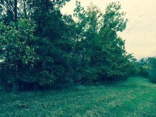14315 Stamping Ground Road Stamping Ground, KY 40379 - Photo 15 of 15 Photo 16