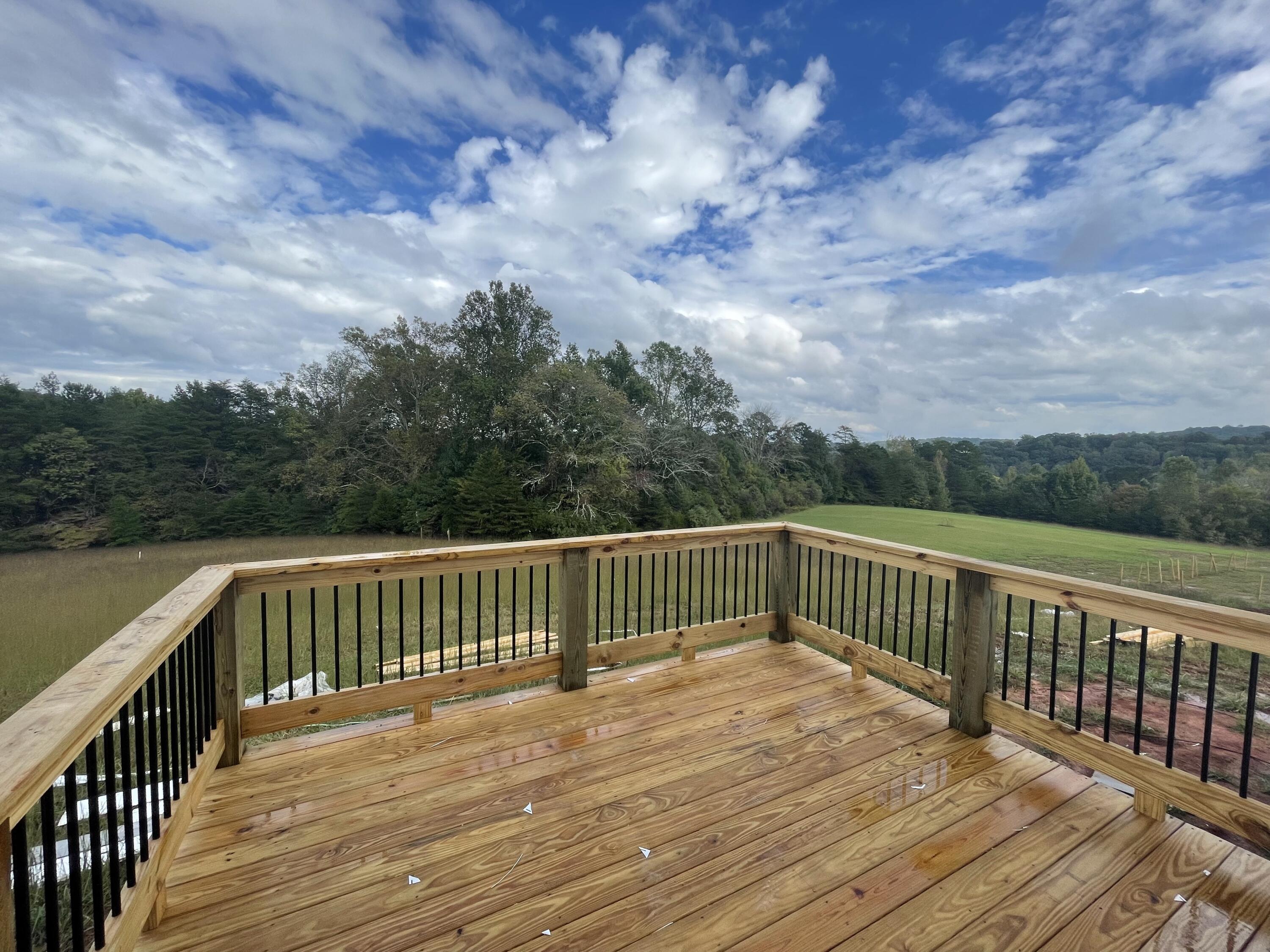 625 Riddle Road Dayton, TN 37321 - Photo 11 of 22 IMG_2500