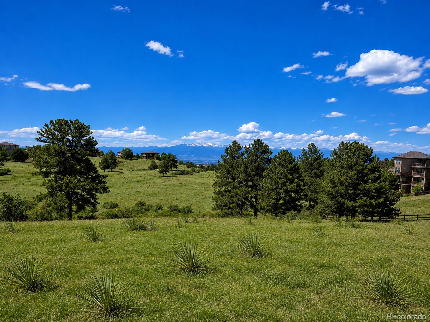 Forest Rim Road Aurora, CO 80016 - Photo 5 of 10