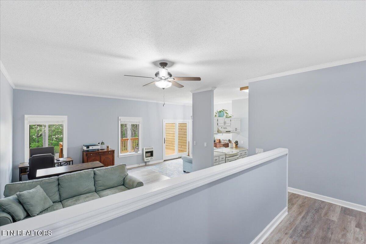 169 Hendrix Drive Oak Ridge, TN 37830 - Photo 4 of 34 04-Living Room