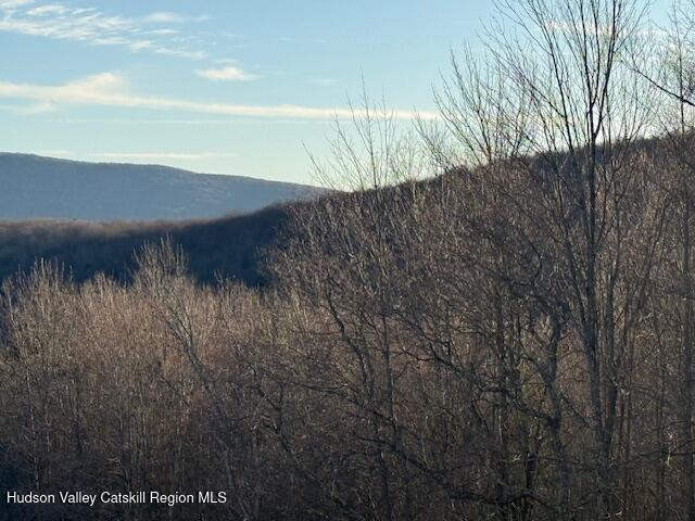 Tbd Hogg Mountain Road Fleischmanns, NY 12430 - Photo 16 of 22 #16